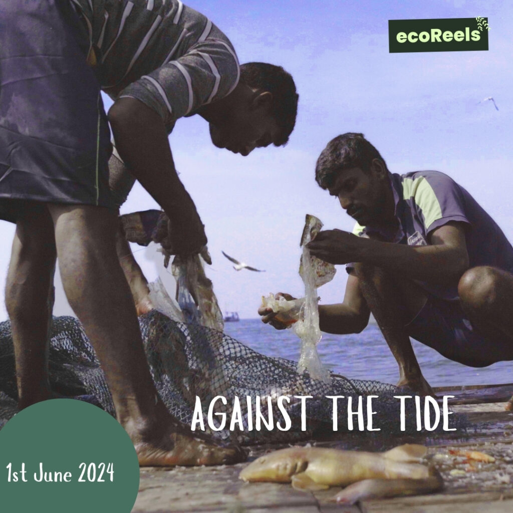 Against the tide Photo: EcoReels